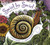 Swirl by Swirl (Spirals in Nature) - 9781328485434 by Joyce Sidman, Beth Krommes, 9781328485434