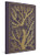 ESV Illuminated Scripture Journal (Romans (Paperback)) by , 9781433564819