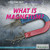 What Is Magnetism? by Laura Loria, 9781622754991