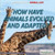 How Have Animals Evolved and Adapted? by Jennifer Swanson, 9781622759972