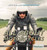 All About Motorcycles by Justine Ciovacco, 9781680484496