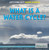 What Is the Water Cycle? by Louise Spilsbury, 9781622752645
