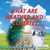 What Are Weather and Climate? by Joanne Mattern, 9781622757800