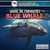 Saving the Endangered Blue Whale by Simone Payment, 9781508100522