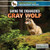 Saving the Endangered Gray Wolf by Shalini Saxena, 9781508100553