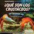 ¿Qué son los crustáceos? (What Are Crustaceans?) (Spanish Edition) by Therese M. Shea, 9781508104940