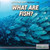 What Are Fish? by Bobi Martin, 9781508103844