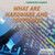 What Are Hardware and Software? by Cathleen Small, 9781680488500
