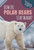 How Do Polar Bears Stay Warm? by Mark Ripley, 9781508156475