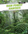 Rain Forest Habitats by Andrew Einspruch, 9781477714836