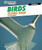 Birds: Flying High by Lesley McFadzean, 9781477769324