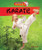 Karate by Alix Wood, 9781477703502