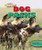 Dog Packs by Louise Spilsbury, Richard Spilsbury, 9781477703304