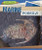 Marine Fossils by Heather Moore Niver, 9781499427424
