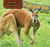 Kangaroos by Katie Franks, 9781477765722