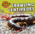 Crawling Centipedes by Celeste Bishop, 9781499406924