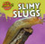 Slimy Slugs by Celeste Bishop, 9781499407136