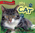 My Cat by Norman D. Graubart, 9781477729618 My Cat by Norman D. Graubart, 9781477729618