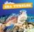 Sea Turtles - 9781508141853 by Dennis Rudenko
