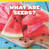 What Are Seeds? by Jens Haakonsen, 9781508161554