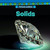 Solids - 9781477760048 by Charlotte Deschermeier, 9781477760048