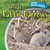 Inside Rabbit Burrows by Liz Chung, 9781499408768