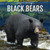 Black Bears - 9781499420326 by Joyce Jeffries, 9781499420326