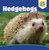 Hedgehogs - 9781508154211 by Melissa Raé Shofner, 9781508154211