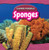 Sponges by Ryan Nagelhout, 9781477758427