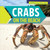 Crabs on the Beach by Jonathan Potter, 9781538325834