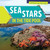 Sea Stars in the Tide Pool by Jo Marie Anderson, 9781538325919