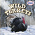 Wild Turkeys by Meryl Magby, 9781477709467