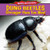 Dung Beetles: Stronger Than Ten Men! by Emma Carlson Berne, 9781477708378