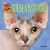 Sphynx by Ruth Owen, 9781477713488