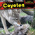 Coyotes - 9781477766088 by Emma Carlson Berne, 9781477766088