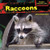Raccoons - 9781477765982 by Emma Carlson Berne