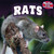 Rats - 9781448897179 by Rachel Lynette, 9781448897179