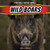 Wild Boars - 9781448898107 by Julia J. Quinlan, 9781448898107