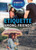 Etiquette Among Friends by Laura Loria, 9781499464887