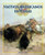 Nativos americanos en Texas (Native Americans in Texas) (Spanish Edition) by Janey Levy, 9781477750315