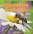 Bugs and Plants Need Each Other by Cecily Jobes, 9781477723029