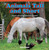 Animals Tall and Short (Describe and Compare Measurable Attributes) by Taylor Bridges, 9781477716328