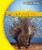 Porcupines - 9781615330058 by Sara Antill, 9781615330058