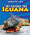 My Friend the Iguana by Joanne Randolph, 9781607549857