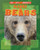 Brawny Bears by Ruth Owen, 9781448881048