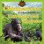 Chimpanzees and Other Animals That Use Tools and Weapons by Vic Kovacs, 9781477756478