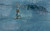 Crossing Niagara (The Death-Defying Tightrope Adventures of the Great Blondin: Candlewick Biographies) - 9781536203424 by Matt Tavares, Matt Tavares