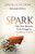 Spark (Take Your Business From Struggle to Significance) by David A. Hilton, Alexander Hilton, 9781630479497