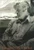 Collected Poems of Ted Hughes by Ted Hughes, 9780571227907