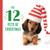 The 12 Pets of Christmas by Taylor Garland, 9780316420822